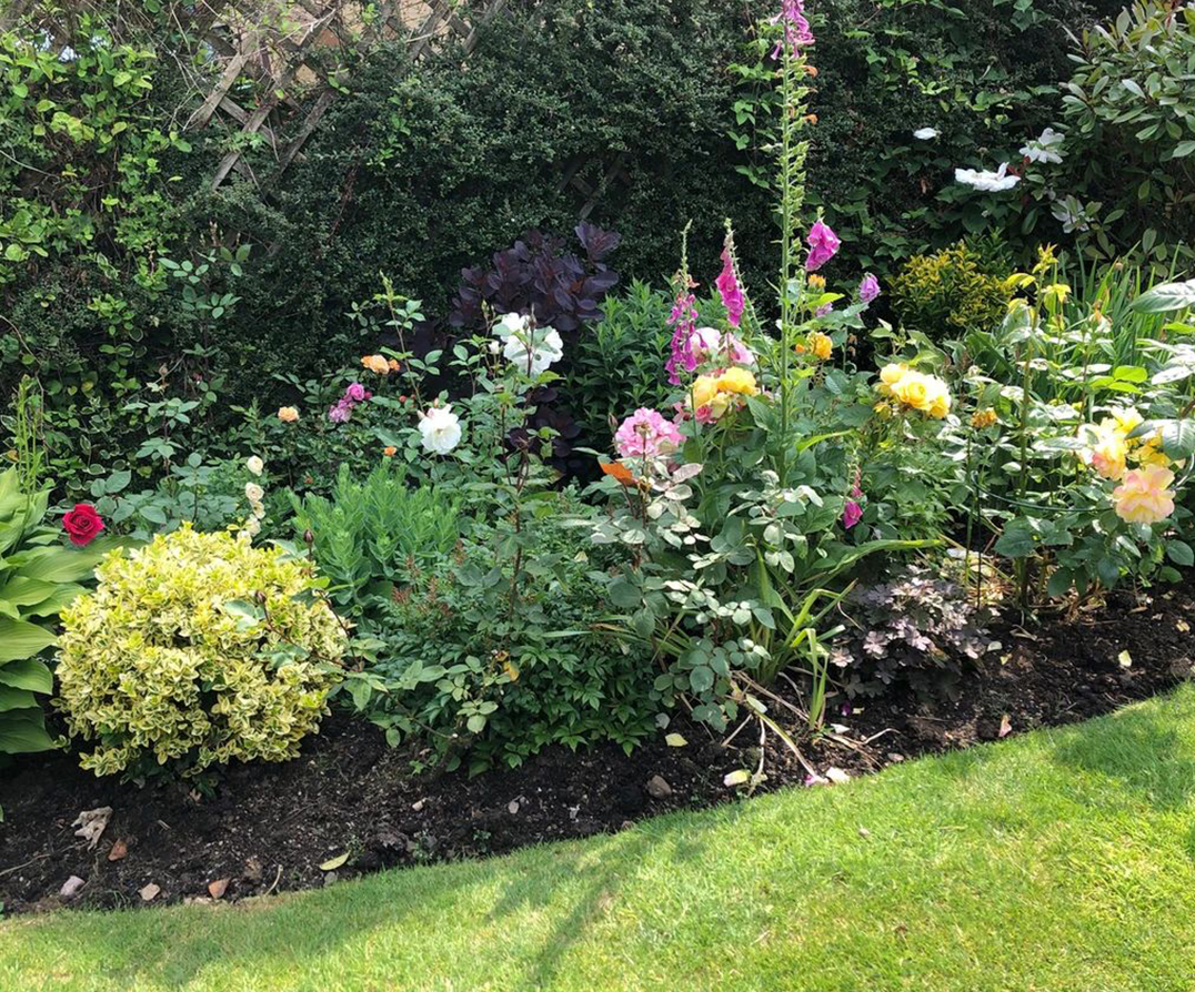 Garden Design in South Glamorgan